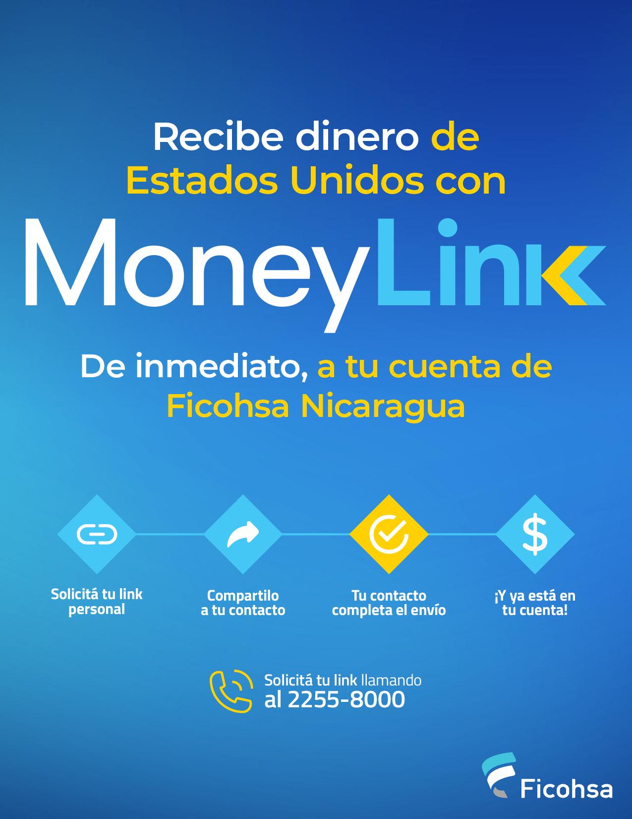 MoneyLink